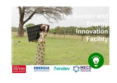 Meet Hivos and Gender and Energy Innovation Facility