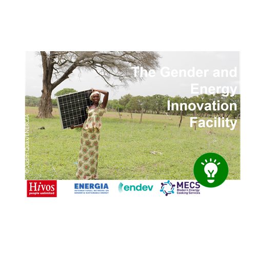 Meet Hivos and Gender and Energy Innovation Facility